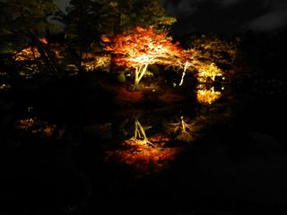 kenrokuen1.jpg