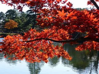 kenrokuen3.jpg